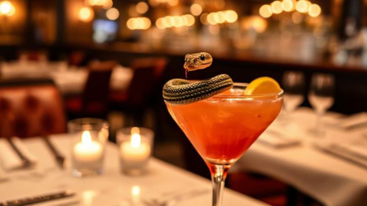 Snake in Margarita Cocktail: मार्गारीटा कॉकटेलमध्ये साप; मद्यपान करताना महिलेस धक्का
