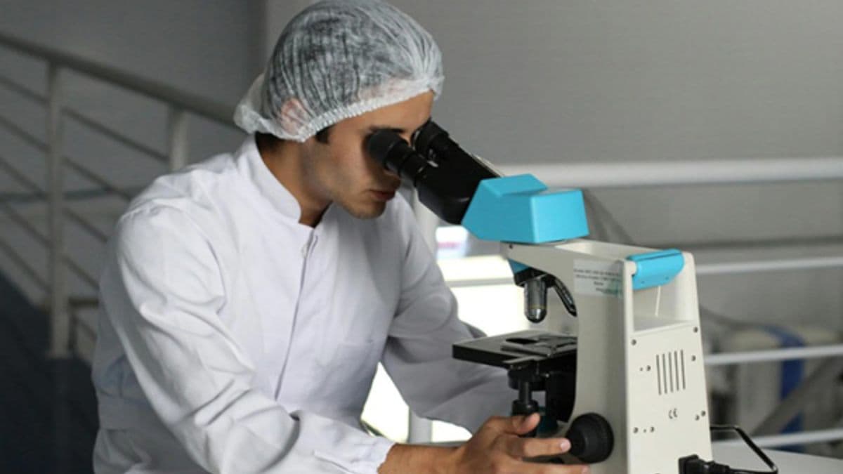 Cancer Immunotherapy: वयानुरुप रोगप्रतिकारक शक्ती घटण्याचा CAR-T पेशींच्या प्रभावीतेवर परिणाम- अभ्यास
