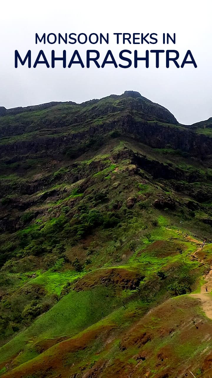 Monsoon Treks In Maharashtra: कळसूबाई ते तोरणा मान्सून मध्ये ट्रेकिंगला कुठे जाल?