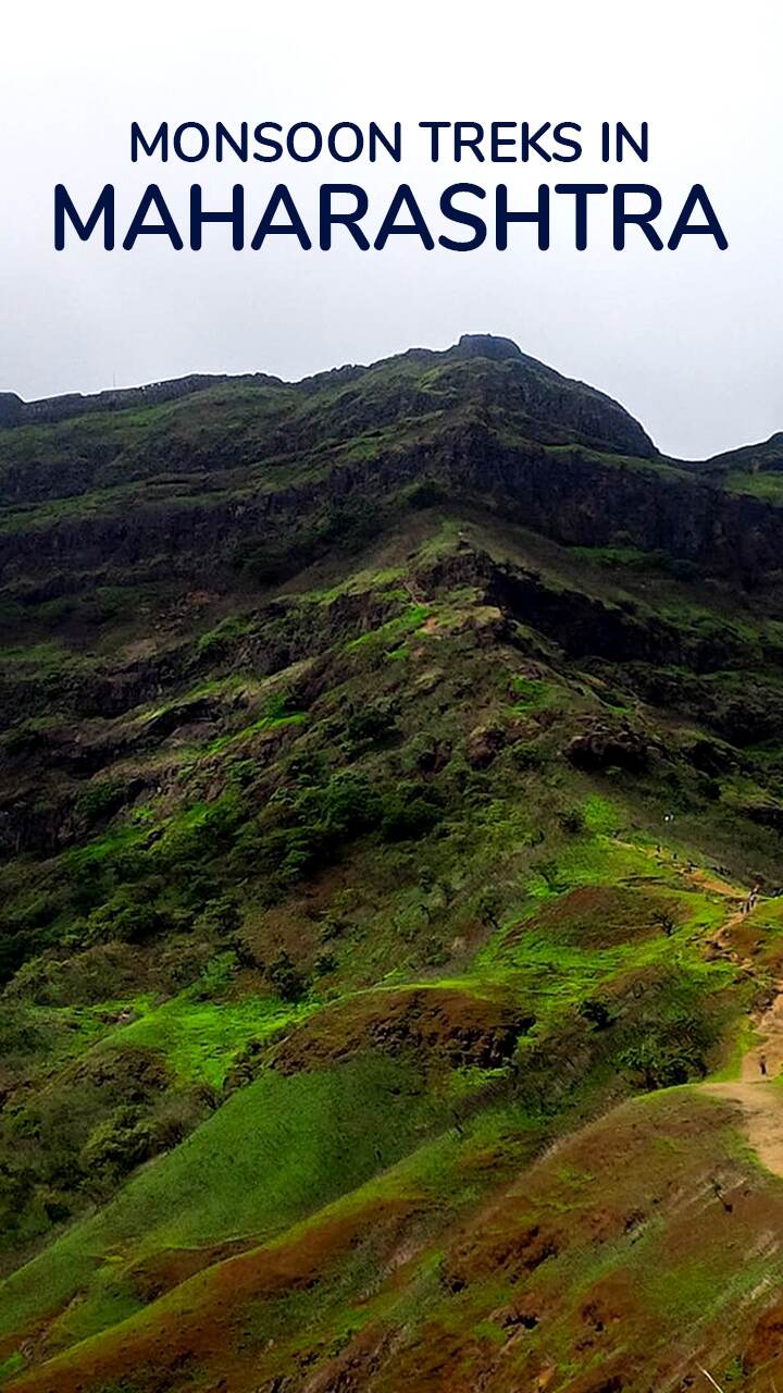 Monsoon Treks In Maharashtra: कळसूबाई ते तोरणा मान्सून मध्ये ट्रेकिंगला कुठे जाल?