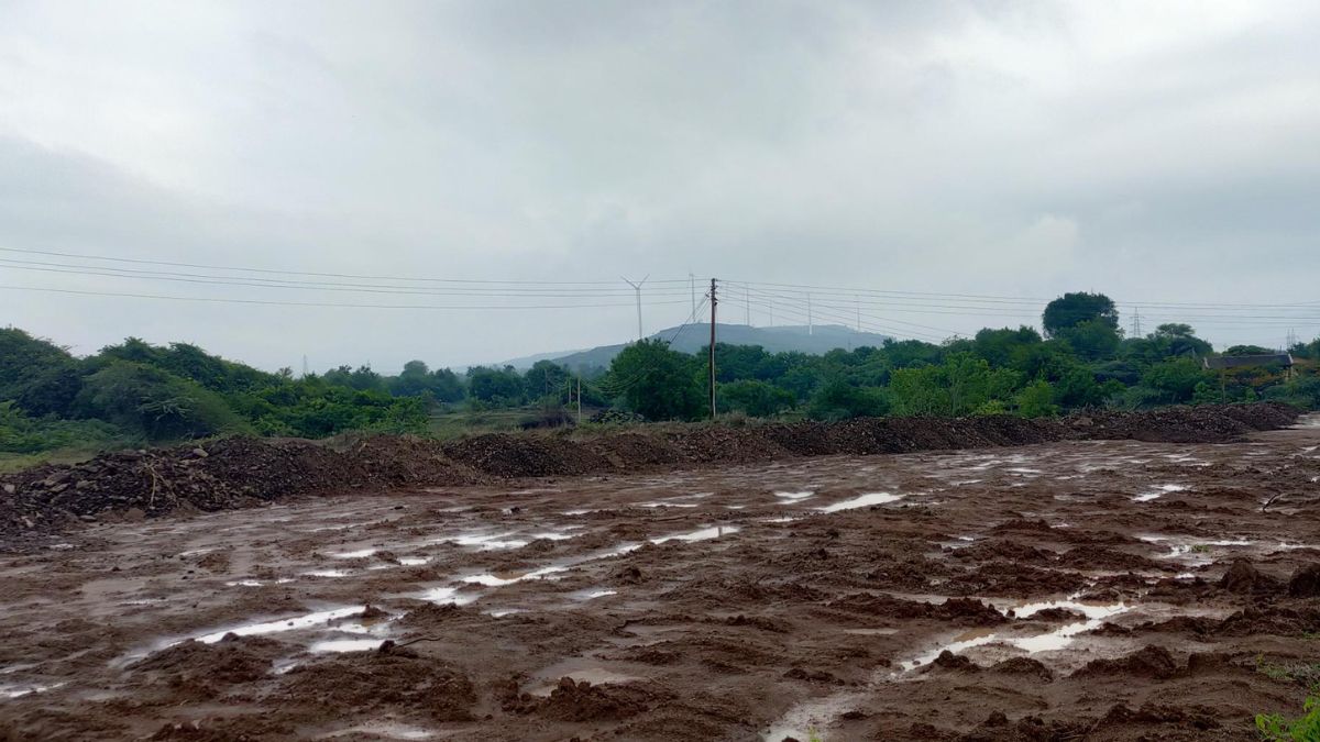 Maharashtra Pre-Monsoon Rains: महाराष्ट्रात मान्सूनपूर्व पावसाचा कहर; 35,000 हेक्टरवरील पिकांचे नुकसान, आठ जणांचा मृत्यू