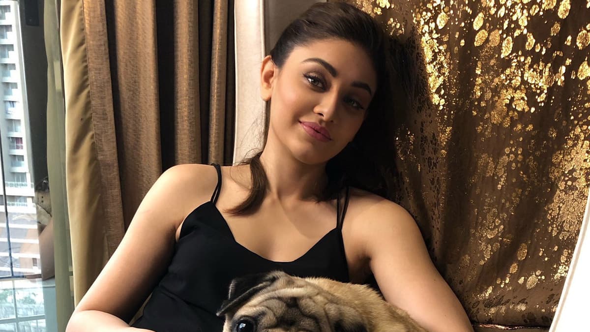 Shefali Jariwala Dies: बॉलीवूडची ‘कांटा लगा’ गर्ल आणि 'बिग बॉस 13' स्पर्धक अभिनेत्री शेफाली जरीवाला हिचे हृदयविकाराच्या झटक्याने निधन; वयाच्या 42 व्या वर्षी घेतला अखेरचा श्वास