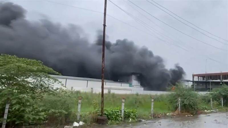 Fire at Paper Mill In Tadkeshwar GIDC: सुरतमधील ताडकेश्वर जीआयडीसीमधील पेपर मिलमध्ये भीषण आग; अग्निशमन दलाकडून आग विझवण्याचा प्रयत्न सुरू