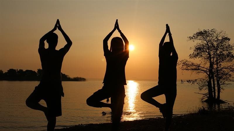 International Yoga Day 2025: जागतिक योग दिन कधी साजरा केला जातो? या वर्षीची थीम, इतिहास आणि महत्त्व घ्या जाणून