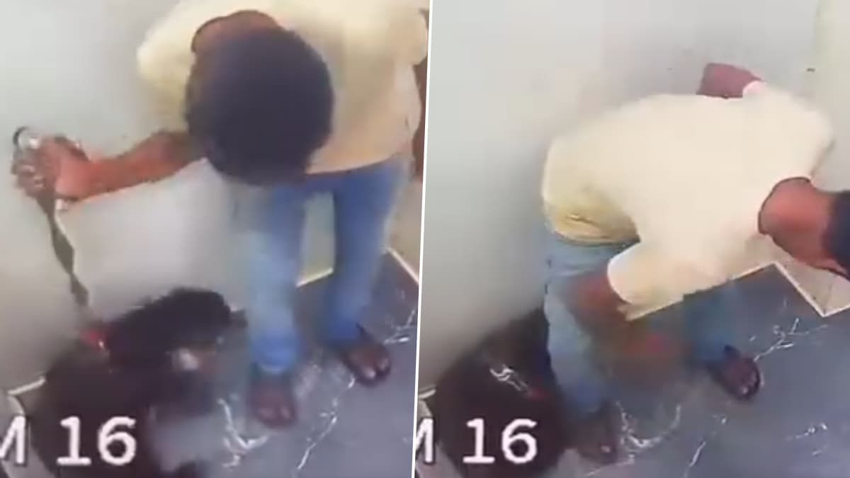 Pet Dog Beaten By Servant In Versova: वर्सोवामध्ये इमारतीच्या लिफ्टमध्ये नोकराची पाळीव कुत्र्याला बेदम मारहाण; घटना CCTV मध्ये कैद