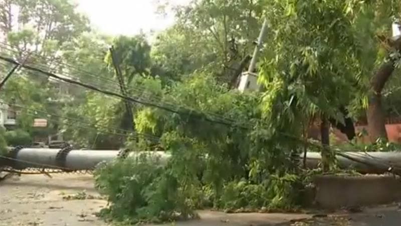 Mobile Tower Collapses In Delhi: दिल्लीतील सफदरजंग एन्क्लेव्हमध्ये वादळ आणि मुसळधार पावसामुळे कोसळला 100 फूट उंच मोबाईल टॉवर (Watch Video)