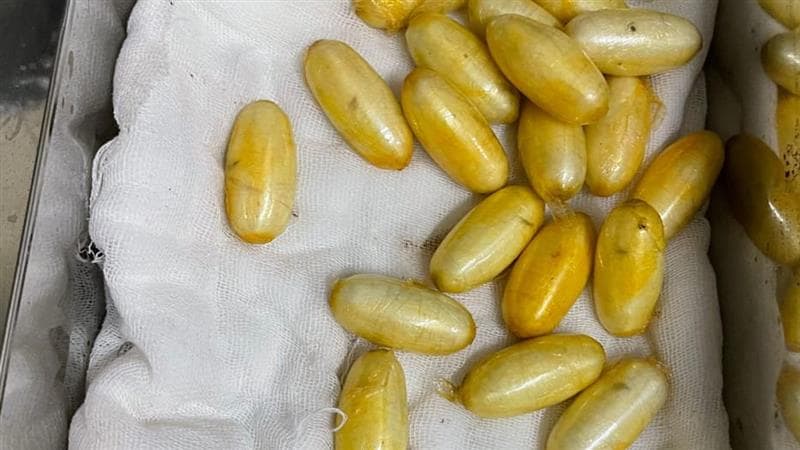 Mumbai Airport Cocaine Smuggling: पोटात लपवलं 11.39 कोटी रुपयांचे कोकेन; आरोपीला मुंबई विमानतळावरून अटक
