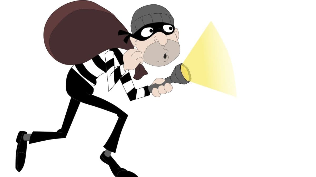 Karnataka Canara Bank Heist: कर्नाटकातील विजयपुरा जिल्ह्यातील कॅनरा बँकेवर दरोडा; 59 किलो सोने आणि रोख रक्कम लुटली, काळ्या जादूचा वापर