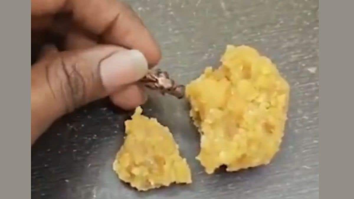 Srisailam Laddoo Controversy: श्रीशैलम मंदिरातील लाडू प्रसादात मृत झुरळ; भक्ताकडून आरोप, Video Viral