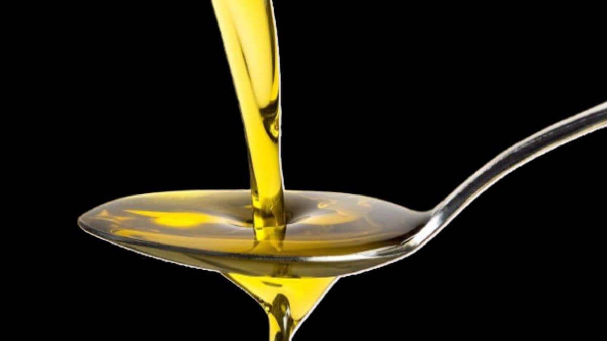 Edible Oil Duty Cut 2025: खाद्यतेल आयात शुल्क कपात; स्थानिक रिफायनर्सना फायदा, ग्राहकांना दिलासा