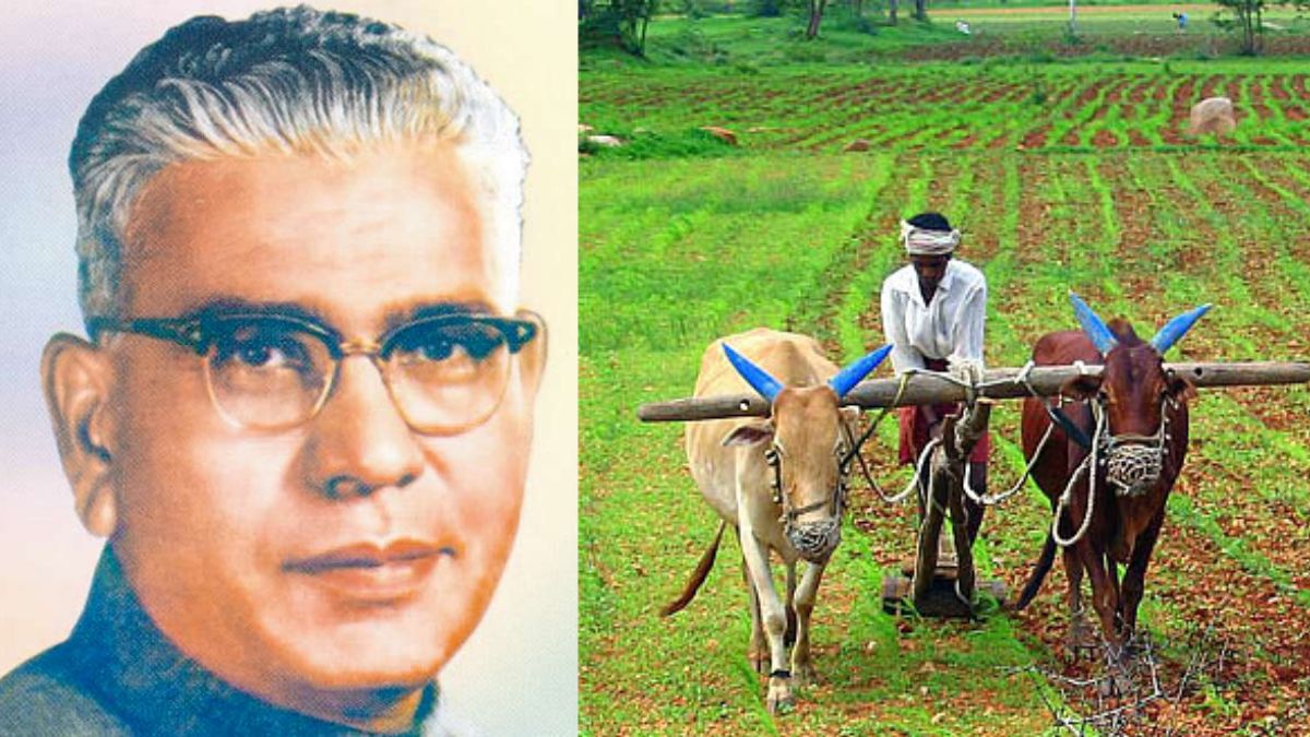 Maharashtra Krishi Din 2025: महाराष्ट्रात 1 जुलै रोजी वसंतराव नाईक यांच्या जयंतीनिमित्त साजरा होतो 'कृषी दिन'; जाणून घ्या महत्व