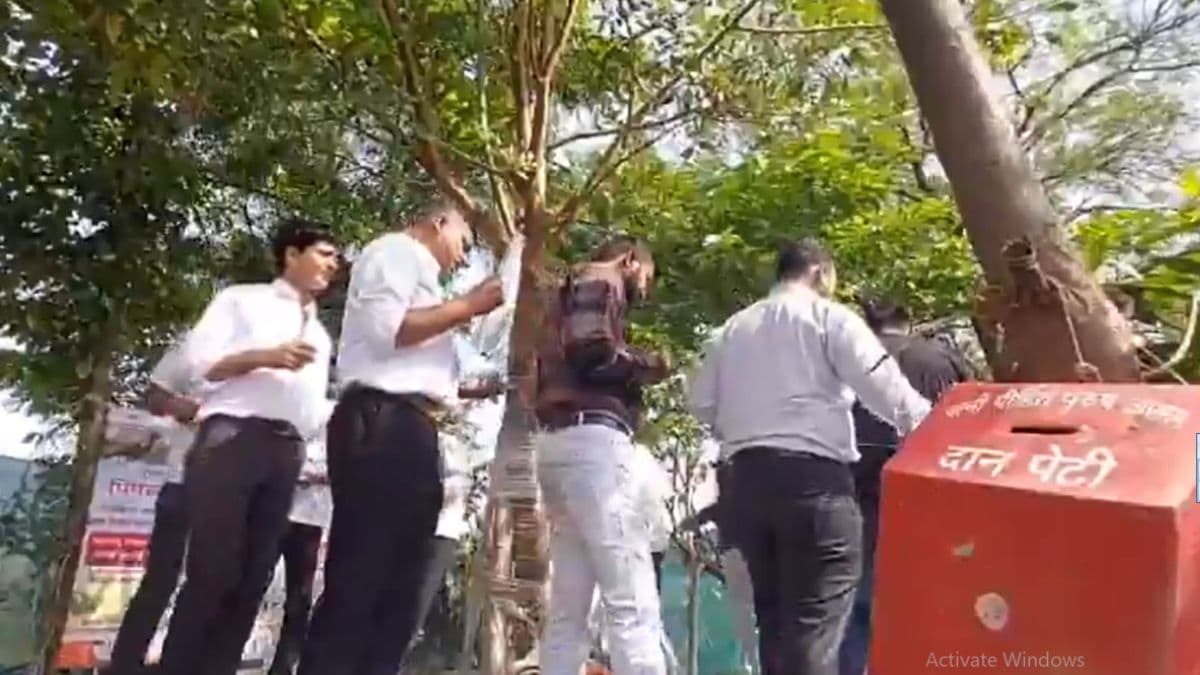 वटपौर्णिमेच्या आदल्या दिवशी छत्रपती संभाजीनगर मध्ये पत्नी पिडीत पुरुषांनी साजरी केली पिंपळपौर्णिमा; व्हिडिओ वायरल