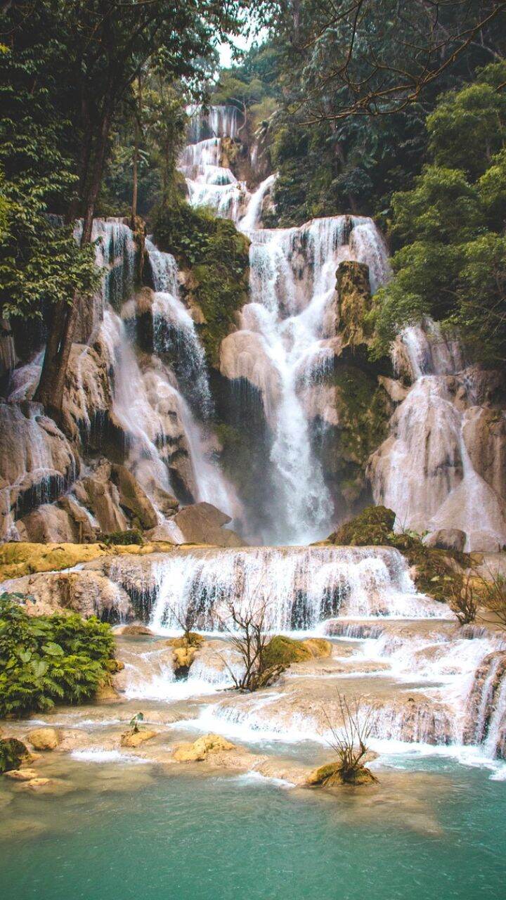 Waterfalls In Karjat: कर्जत मधील निसर्गाच्या कुशीत वसलेले लोकप्रिय धबधबे