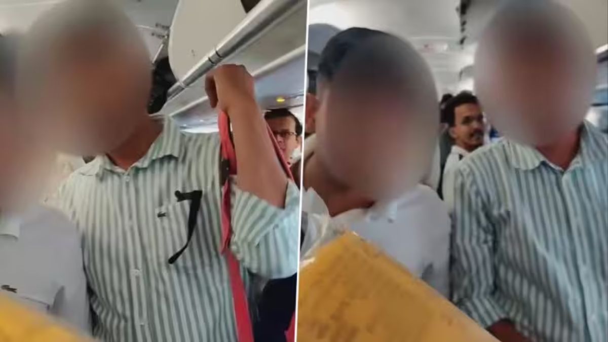 चोरट्यांचा कहर! विमानात प्रवाशाकडून लाईफ जॅकेटची चोरी; IndiGo Flight मधील व्हिडिओ व्हायरल (Video)