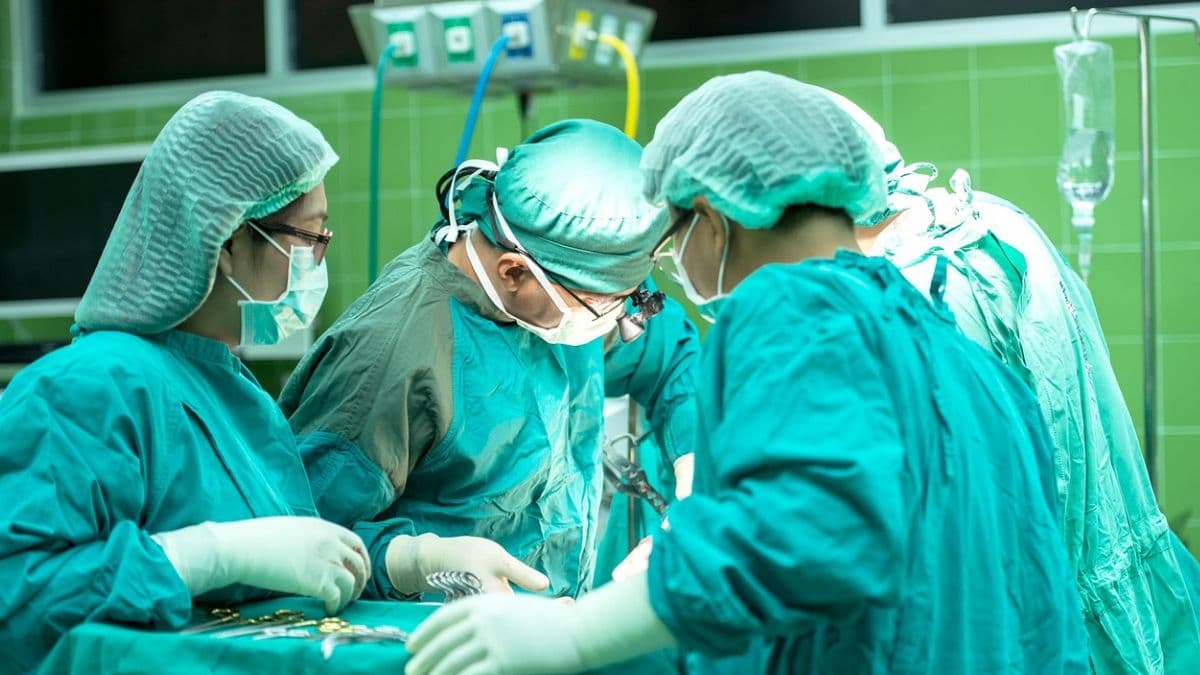 Jalna Medical Negligence: गर्भवती महिलेच्या पोटाला फिनाईल लावलं, त्वचा भाजली; भोकरदन येथे वैद्यकीय निष्काळजीपणा