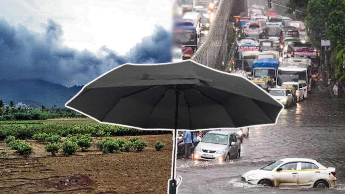 Maharashtra Weather Forecast: महाराष्ट्रात मुसळधार पाऊस, पुढील पाच दिवस वादळी वाऱ्यांसह विजांचा कडकडाट; जून 17 पर्यंतचा हवामान अंदाज