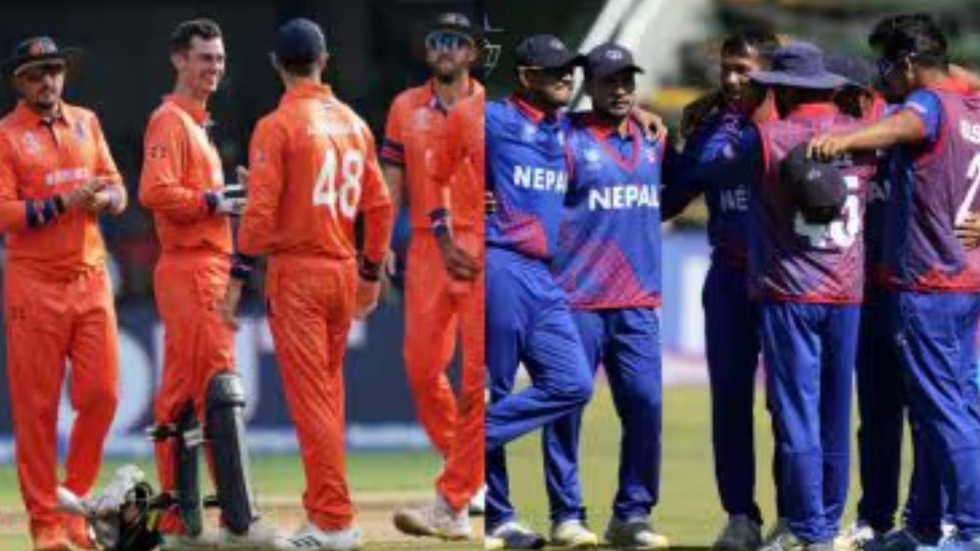 Netherlands vs Nepal, 78th Match Live Streaming In India: नेदरलँड्स आणि नेपाळ संघात हाय व्होल्टेज सामना; भारतात लाईव्ह सामना कसा पहाल? जाणून घ्या