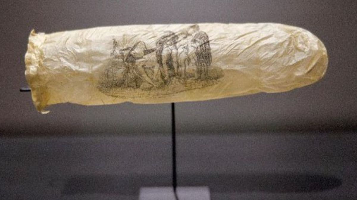 200-Year-Old Condom At Dutch Museum: नेदरलँड्सच्या संग्रहालयात तब्बल 200 वर्षे जुन्या कंडोमचे प्रदर्शन; मेंढीच्या आतड्यापासून तयार केला होता