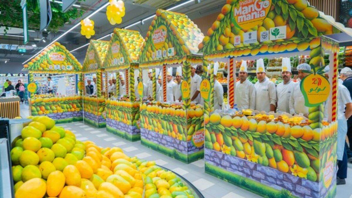 Indian Mango Mania 2025: भारतीय आंबा निर्यातीला चालना देण्यासाठी अबू धाबीमध्ये ‘इंडियन मॅंगो मॅनिया 2025’चे आयोजन