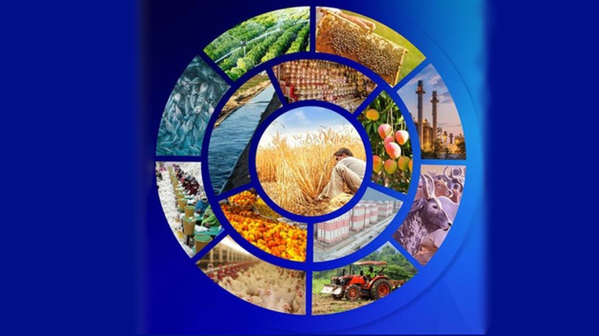 Rural India Growth Report: ग्रामीण भारतात आर्थिक प्रगती, बहुतांश राज्यांमध्ये सरासरी उत्पन्न 2,000 डॉलर्सपेक्षा जास्त, सेवा क्षेत्राने नोंदवली वाढ
