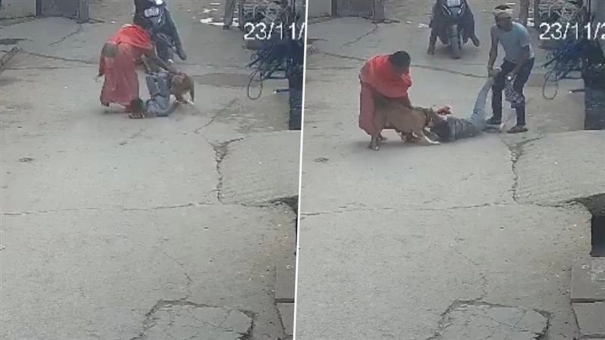 Viral: दिल्लीत पिट बुलचा हल्ला! बॉल खेळणाऱ्या ६ वर्षांच्या निष्पाप मुलावर झडप; घटना CCTV मध्ये कैद