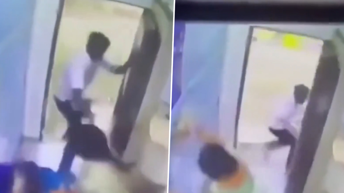 Chain Snatching In Running Train: धावत्या ट्रेनमध्ये महिलेचे दागिने लंपास; साखळी चोरून तरुणाने चालत्या गाडीतून मारली उडी