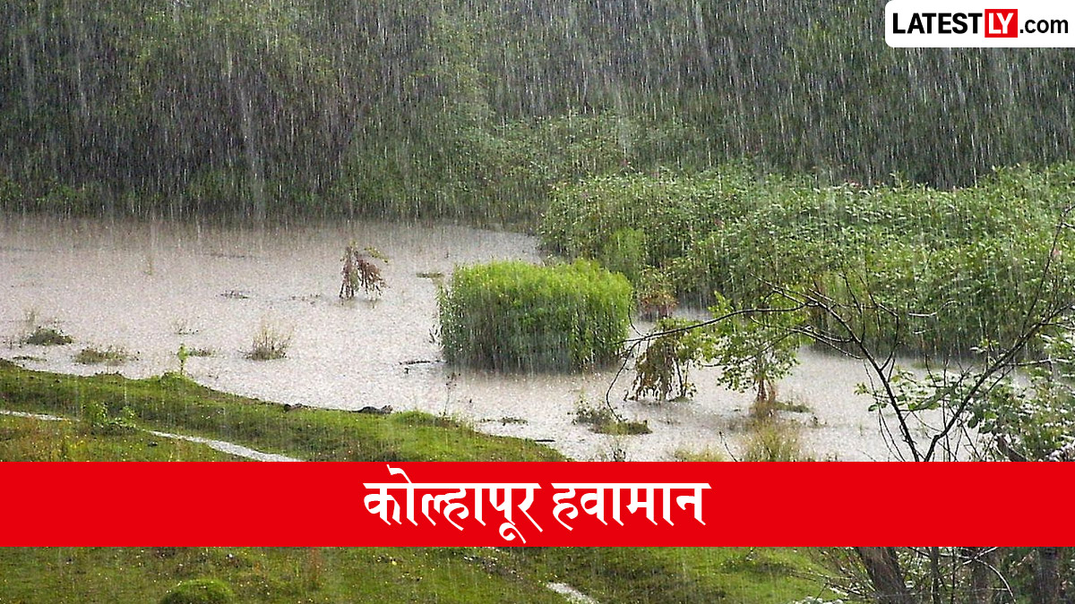 उद्याचे हवामान कोल्हापूर: 25 जून 2026 रोजी गडगडाटी वादळासह जोरदार पावसाची शक्यता