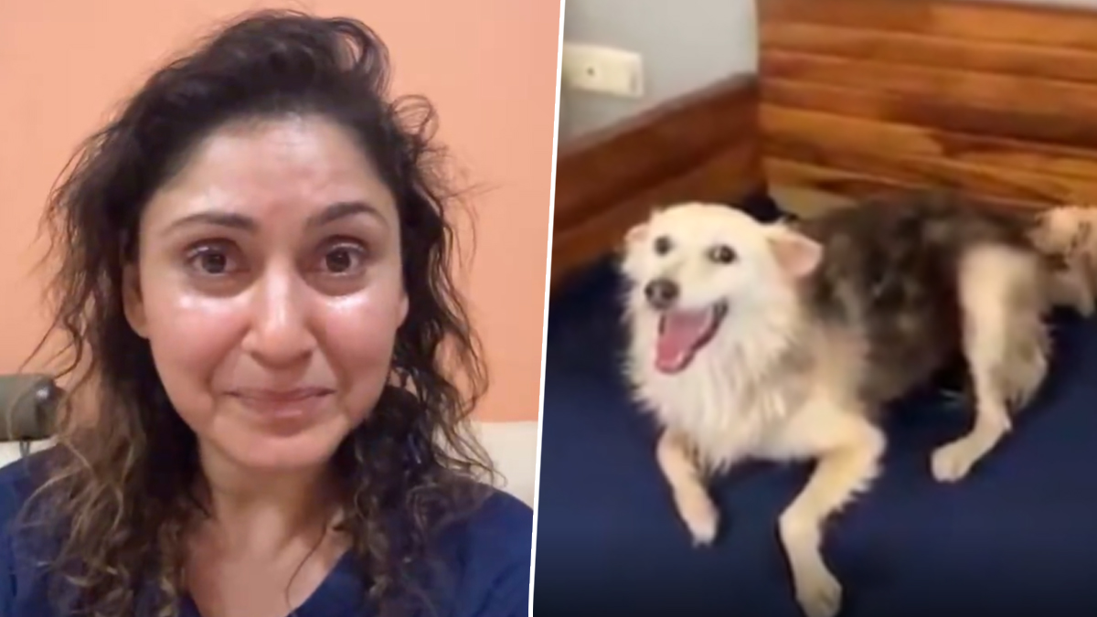 Who is Manjari Fadnnis: अभिनेत्री मंजरी फडणीस कोण आहे? सोसायटीमधील श्वानाच्या हत्येच्या आरोपानंतर रडतानाचा व्हिडिओ सोशल मीडियावर व्हायरल