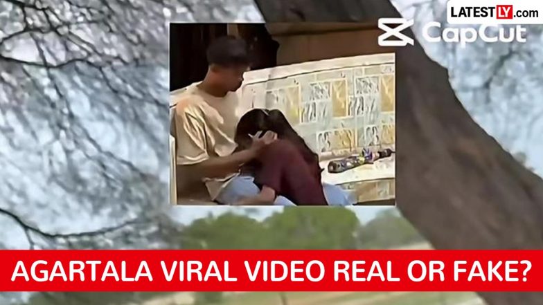 Agartala Eco Park Viral Video: जोडप्याचा अश्लील व्हिडिओ सोशल मीडियावर व्हायरल; क्लिप खरी की एआय (AI) निर्मित? उलटसुलट चर्चांना उधाण