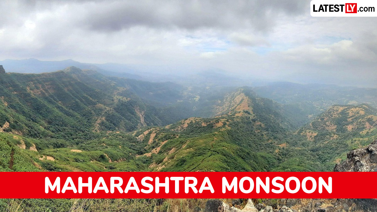 महाराष्ट्र हवामान अंदाज: 11 जुलै रोजी राज्यातील प्रमुख शहरांमध्ये हलक्या ते मध्यम स्वरूपाच्या पावसाची शक्यता; जाणून घ्या 12 जुलैचा अंदाज