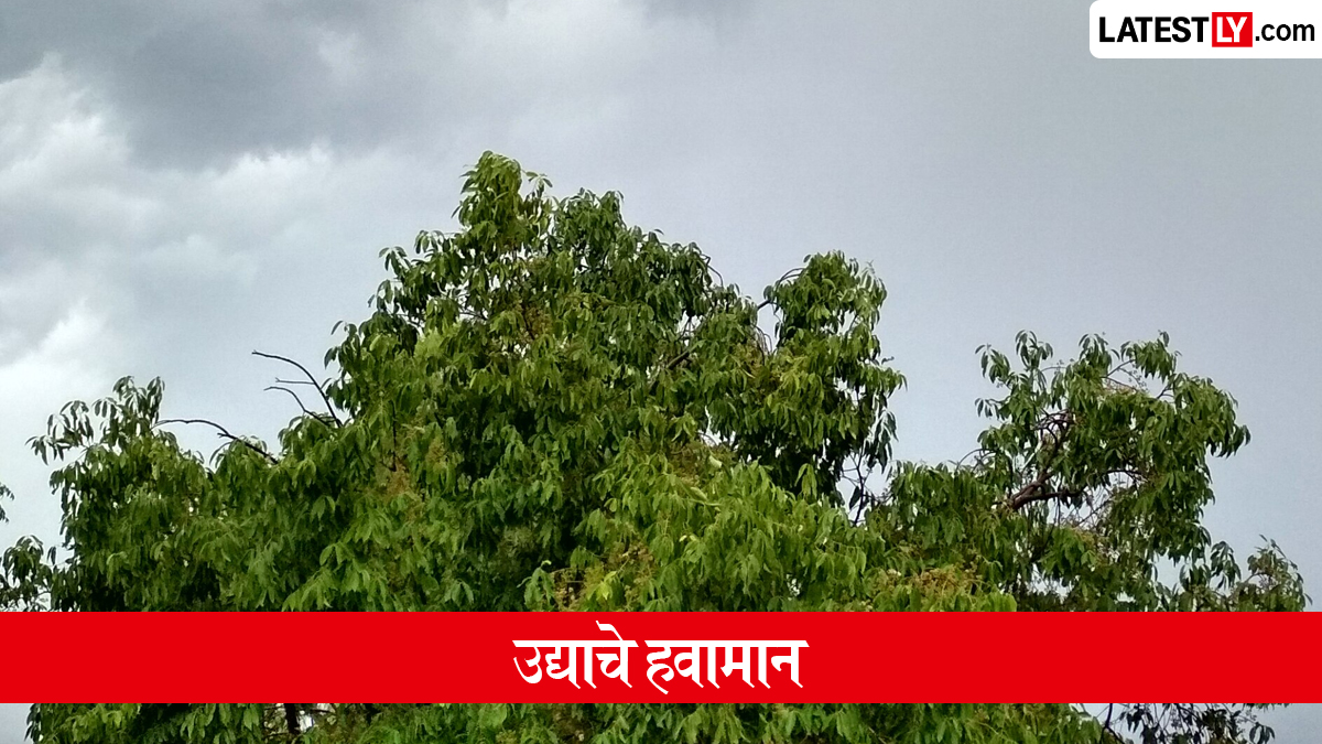 महाराष्ट्रात उद्याचे हवामान: मुंबईसह कोकणात पावसाची शक्यता, विदर्भ आणि मध्य महाराष्ट्रात हलक्या सरी