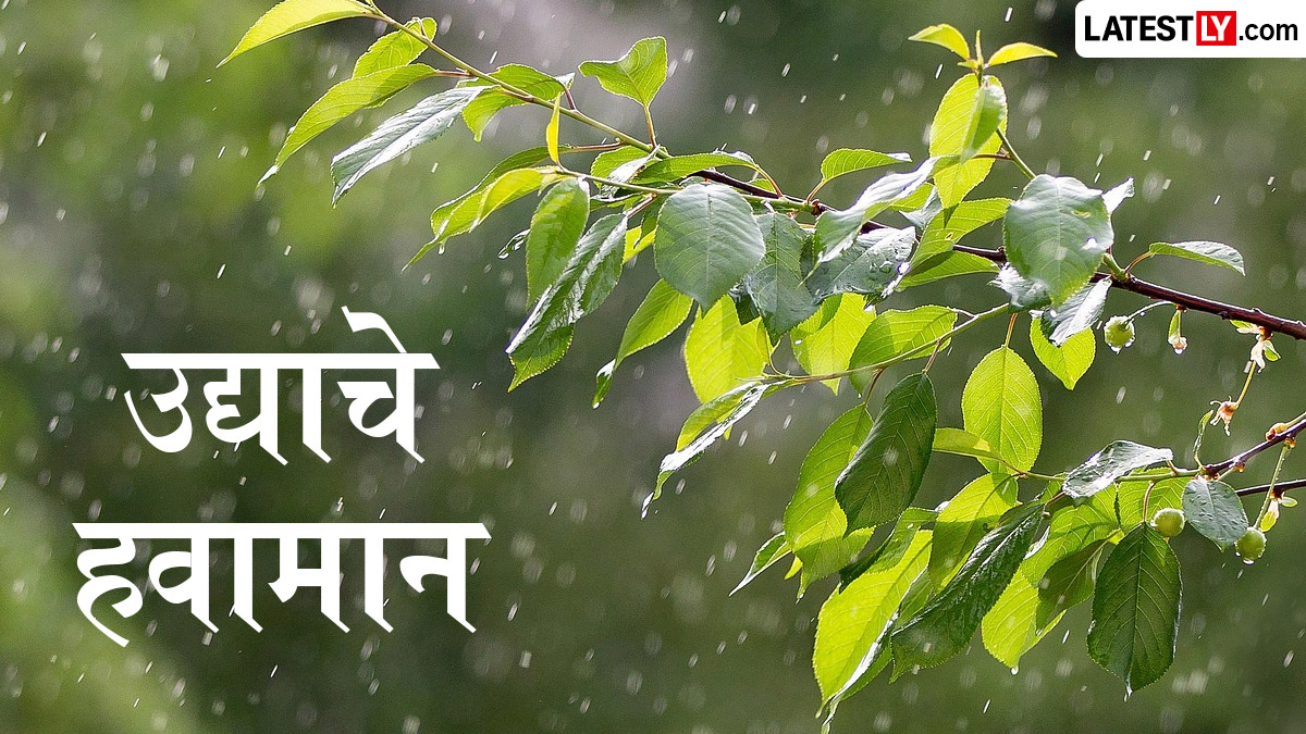 उद्याचे हवामान महाराष्ट्र 18 जुलै: मुसळधार की हलक्या सरी? जाणून घ्या मुंबई, नाशिक, पुण्यासह इतर शहरांमधील उद्याचे हवामान