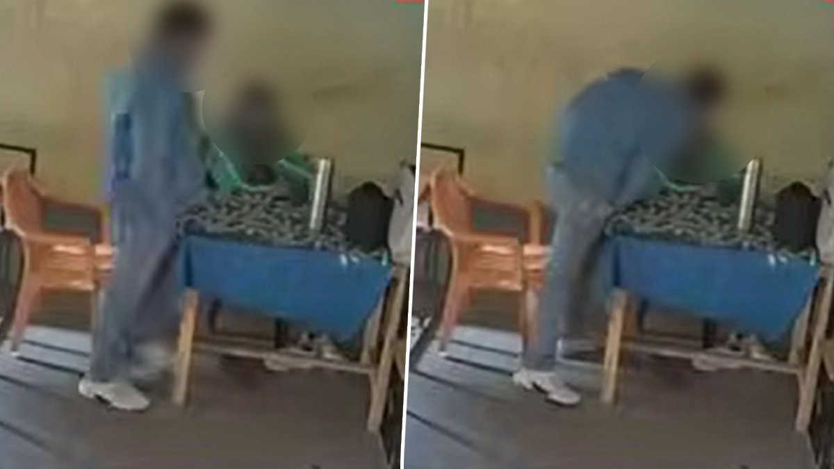 Kannauj Teacher Viral Video: प्राथमिक शाळेत शिक्षकांचा वर्गातच रोमान्स; पत्नीने हिडन कॅमेरा लावून गुपित उघड केले, तपास सुरू