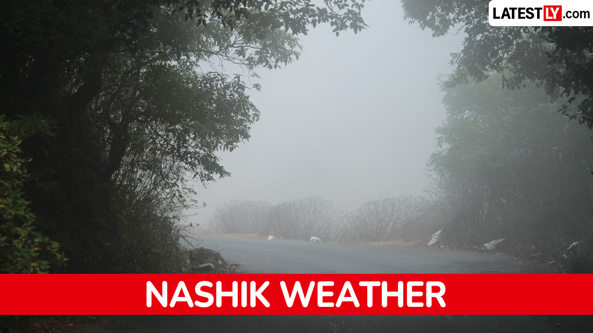 Weather Nashik: नाशिक हवामान 19 ऑगस्ट, ढगाळ वातावरण आणि हलक्या पावसाची शक्यता
