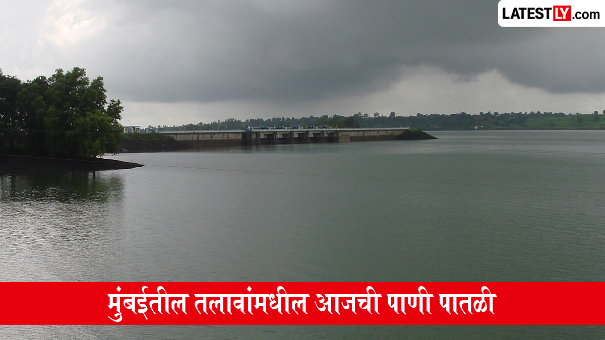 Lake Levels in Mumbai Today: मुंबईतील तलावांमधील आजची पाणी पातळी, 7 जलाशयांमध्ये 88.17 टक्के जलसाठा