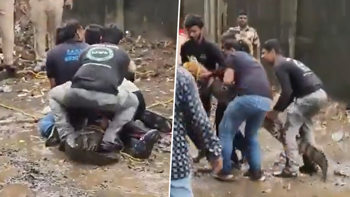 Crocodile In Powai: पवई तलावाजवळील निवासी परिसरात शिरलेली मगर सुरक्षित सुटका; व्हिडिओ पहा