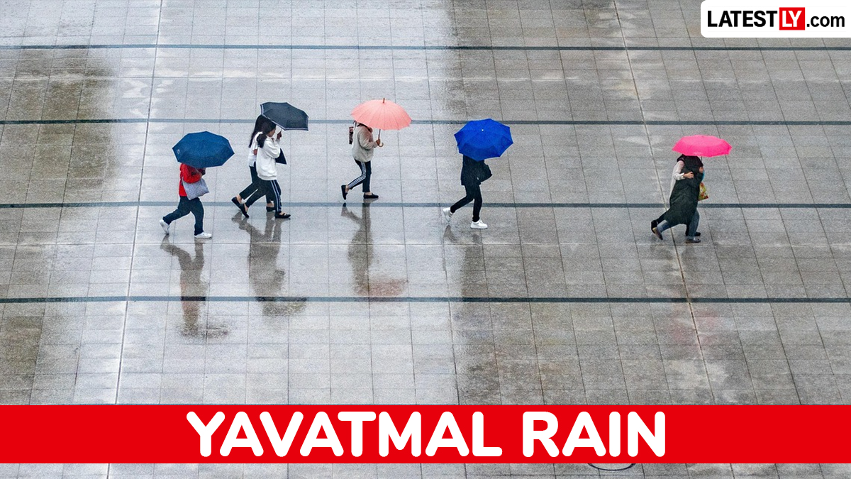 उद्याचे हवामान यवतमाळ: हलक्या सरींची शक्यता, कमाल तापमान 31°C पर्यंत पोहोचणार