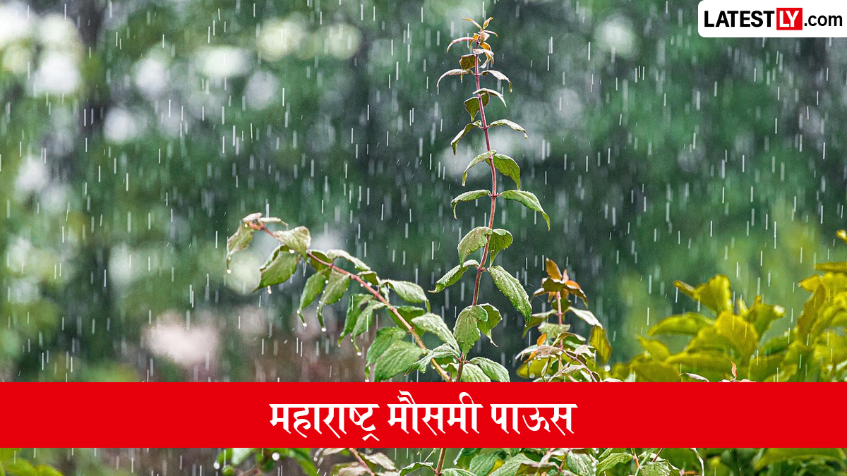 उद्याचे हवामान आणि मौसमी पाऊस: मुंबई, पुणे, नाशिकमध्ये गुरुवारी पाऊस पडणार का? जाणून घ्या
