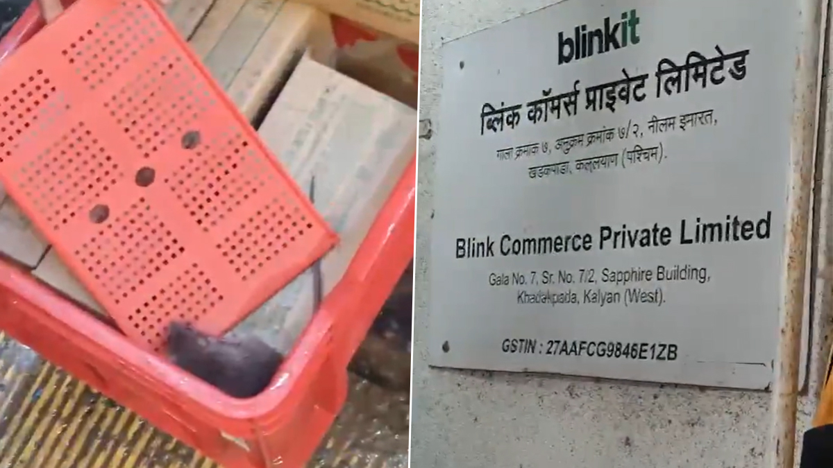 ठाण्यात Blinkit च्या फ्रीजरमध्ये आढळला उंदीर, मुंबईतील झुरळांच्या प्रकरणानंतर अन्नसुरक्षेचा प्रश्न पुन्हा ऐरणीवर