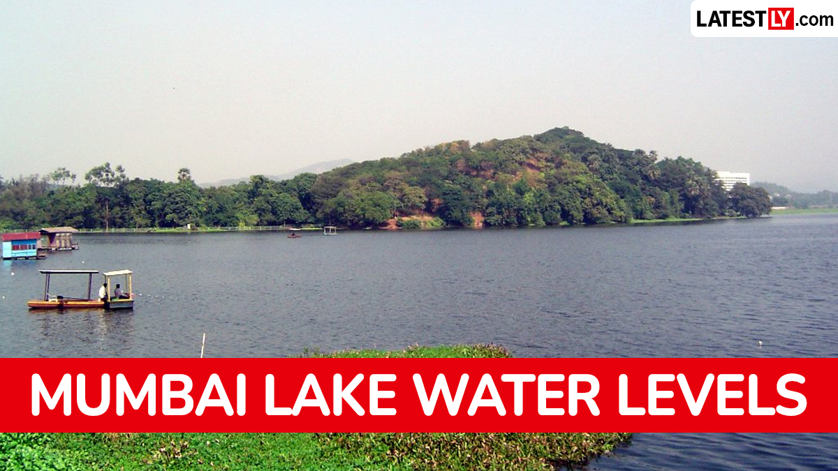 Mumbai Lake Water Levels: मुंबईला पाणीपुरवठा करणाऱ्या सात तलावांत 95.22% पाणीसाठा