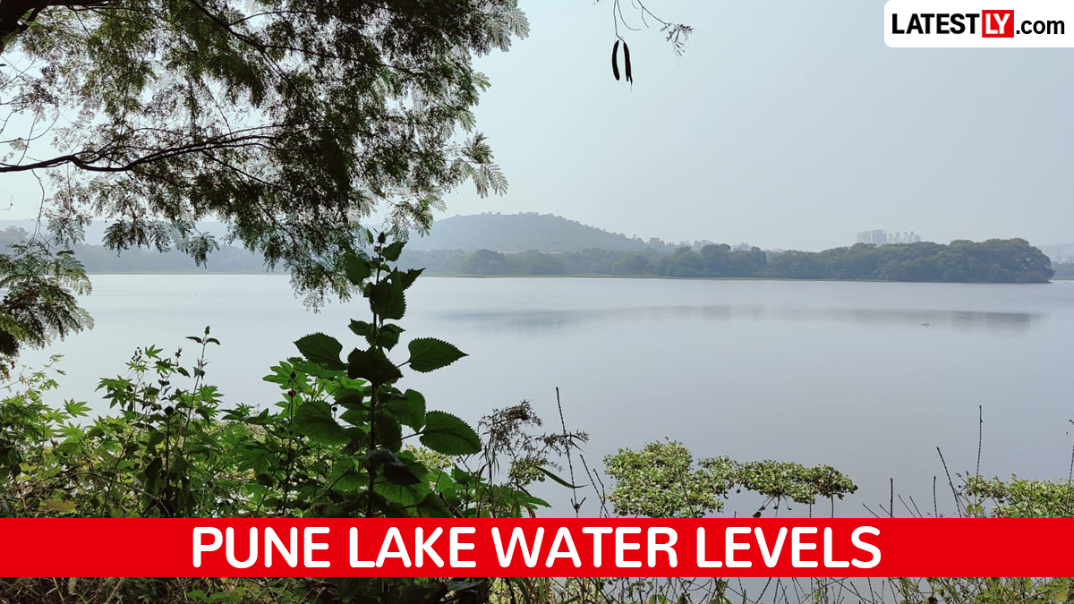 Pune Lake Water Levels: पुण्याला पाणीपुरवठा करणारी धरणं जवळपास तुडुंब भरली, गेल्या वर्षीच्या तुलनेत मोठी वाढ