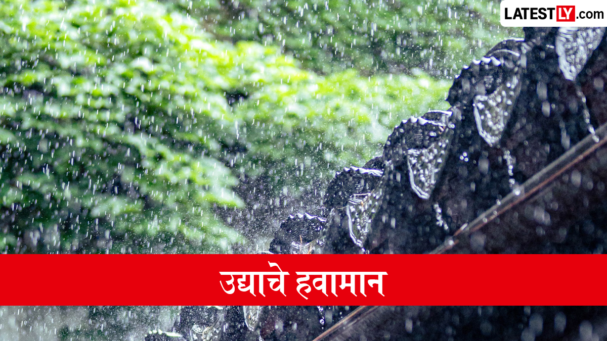 पुणे उद्याचे हवामान: 11 ऑगस्टला  मध्यम रिमझिमसह जोरदार सरींची शक्यता