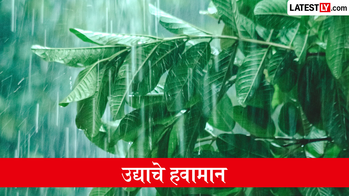 उद्याचे हवामान महाराष्ट्र: 3 ऑगस्ट 2026 रोजी मुंबई, पुणे, नाशिक, नागपूर, कोल्हापूर आणि साताऱ्यात पावसाची स्थिती