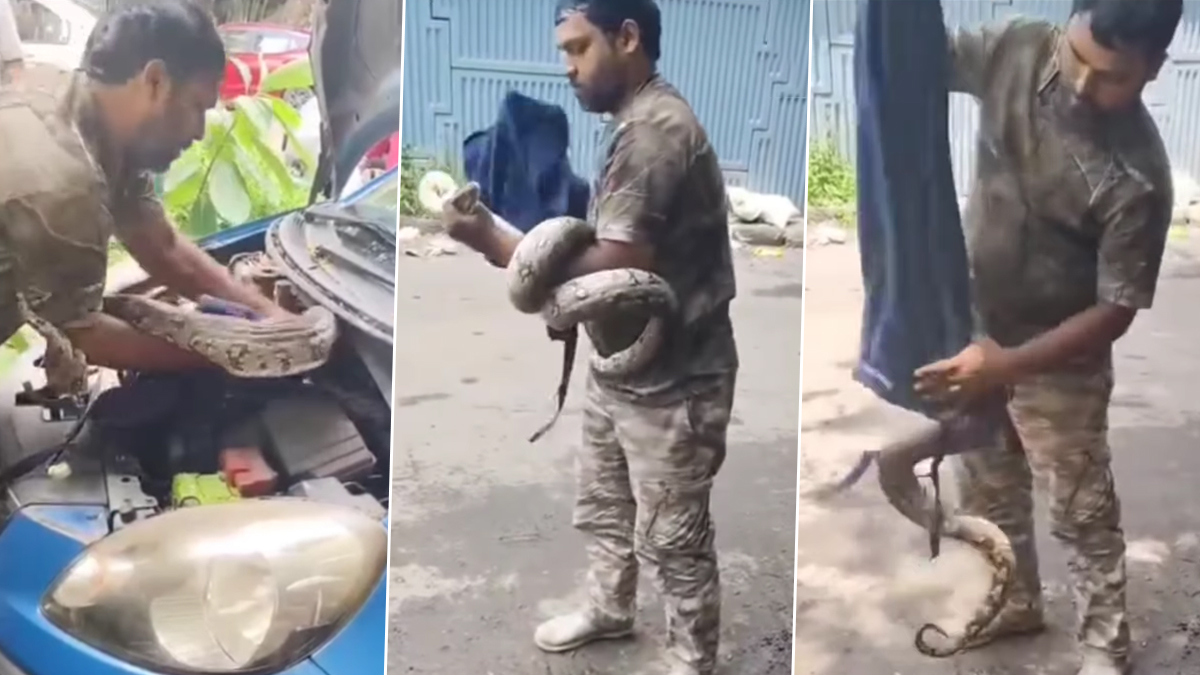 Dahisar Python Rescue Video: दहिसर फ्लायओव्हरजवळ पार्क केलेल्या गाडीच्या इंजिनमधून अजगराची सुखरूप सुटका (Watch Video)