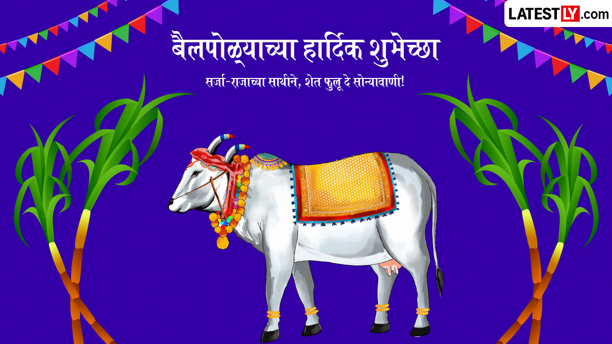 Bail Pola Wishes