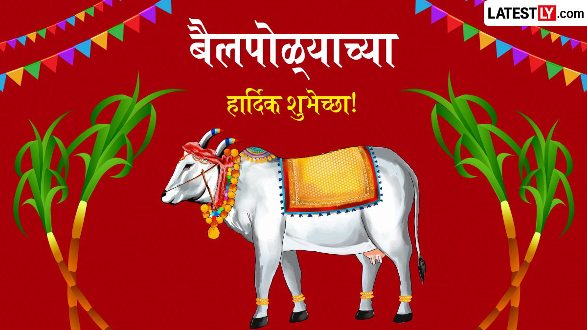 Bail Pola Wishes In Marathi: बैलपोळा सणाच्या शुभेच्छा WhatsApp Status, Greetings द्वारा देत व्यक्त करा कृतज्ञता