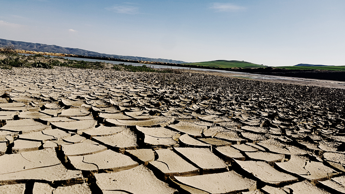 Dry Drought In Maharashtra: महाराष्ट्रामध्ये जाहीर दुष्काळात ट्रिगर-1 म्हणजे काय? शेतकऱ्यांना कोणत्या सवलती मिळणार?