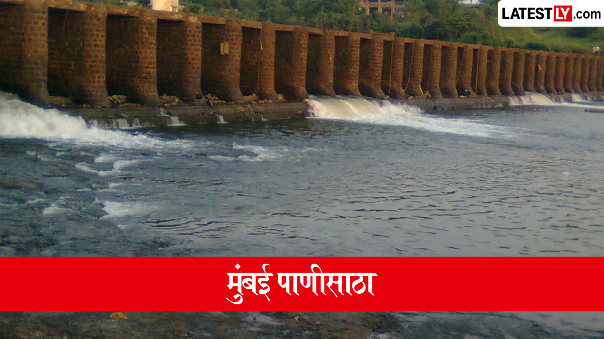 Mumbai Lake Water Levels: मुंबईला पाणीपुरवठा करणाऱ्या जलाशयांत 96.41% पाणीसाठा