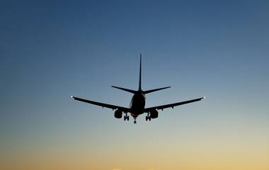 LA International Airport: बाबो! पठ्ठ्याने चक्क चालत्या विमानातून मारली उडी; जाणून घ्या काय घडले पुढे