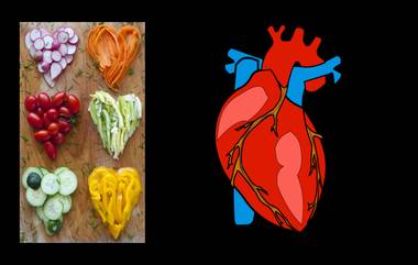 World Heart Day: हृदयाला तंदुरुस्त ठेवण्यासाठी आरोग्यदाई खुराक